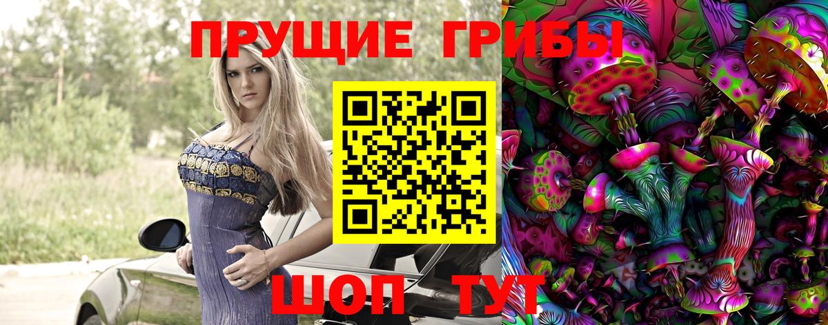Псилоцибиновые грибы Psilocybe  Псилоцибиновые грибы GOLDEN TEACHER  Вход с VPN  Красногорск 